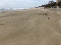 Norma Februar 2016   071